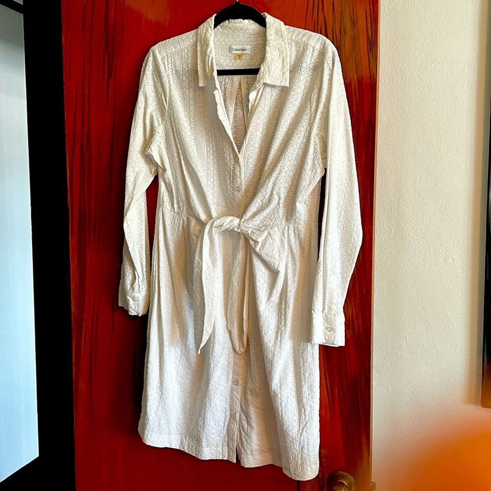 Botton down dress shirt dress